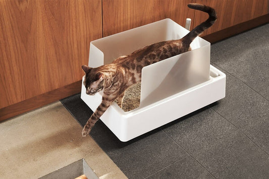 tuft + paw Cove Litter Box