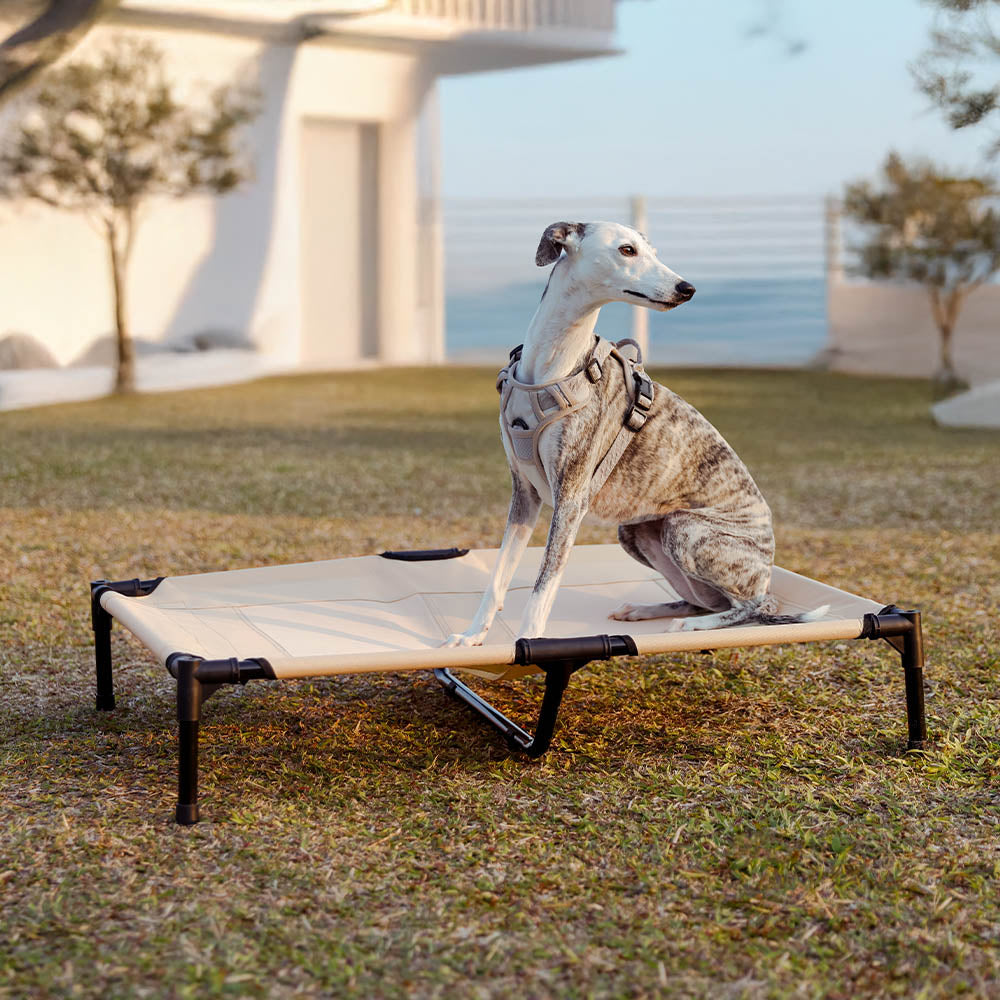 Multi-Functional Breathable Outdoor Cooling Elevated Dog Bed with Canopy Raised Dog Bed Dog Cot for Camp - PawAir