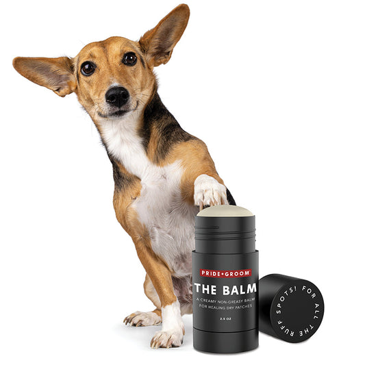 Pride + Groom THE BALM — Natural Paw & Nose Moisturizing Balm for Dogs & Cats