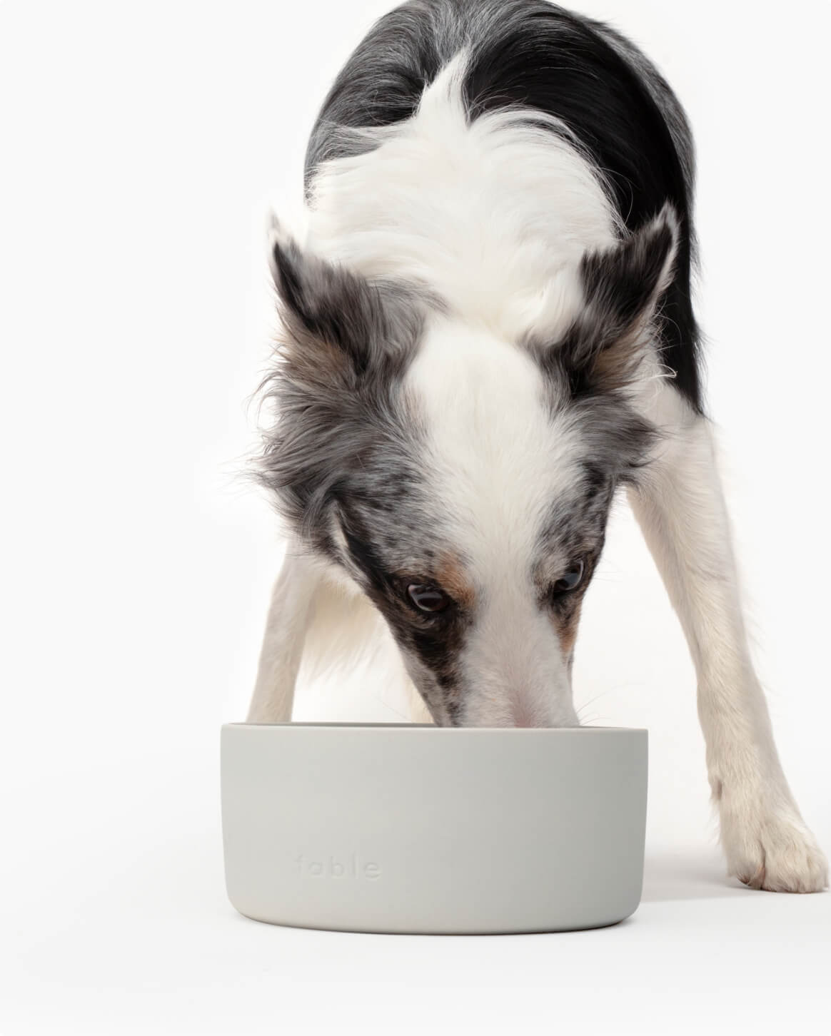 Mineral Grey | M/L/XL | 48-lb dog | Sizer