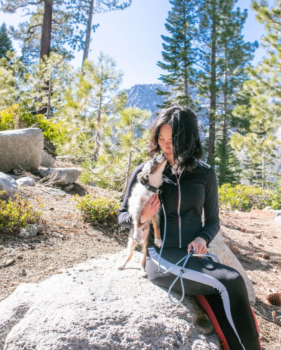Light Blue | XS/S | 7-lb dog | Sizer