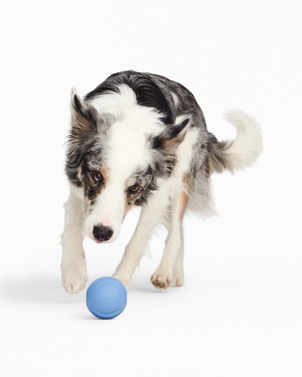 1 ball